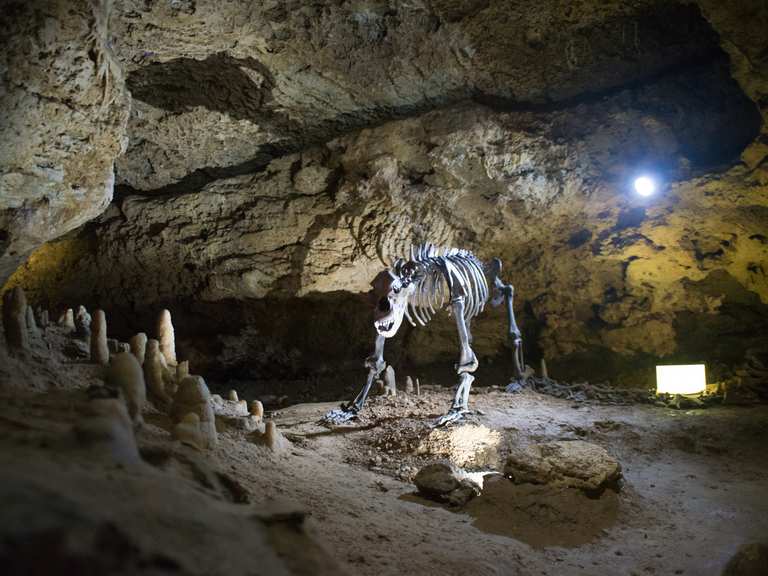 Teufelshöhle Pottenstein Wanderungen und Rundwege komoot