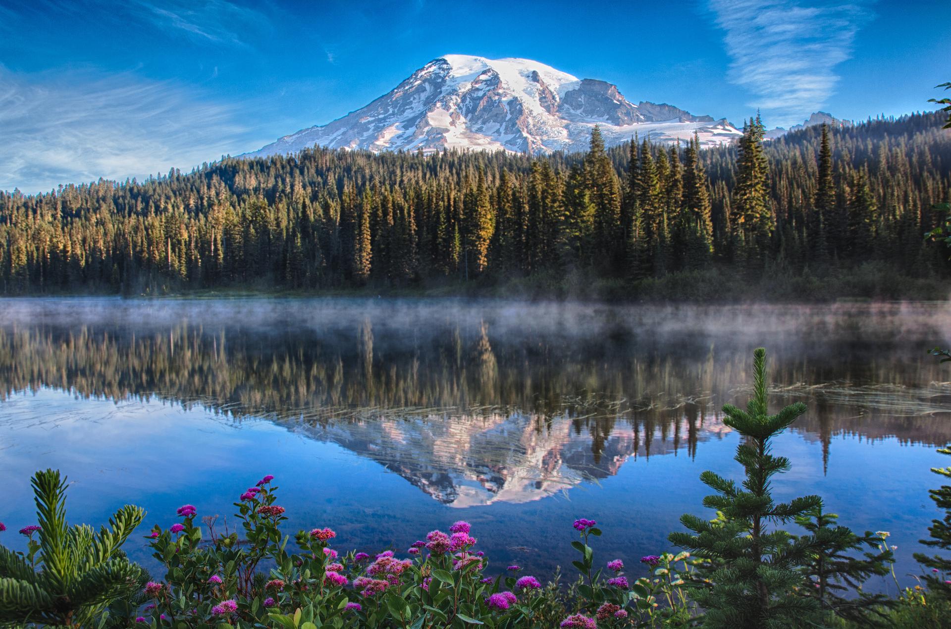 Misty lake reflecting a snow-capped mountain, surrounded by forest and purple flowers.