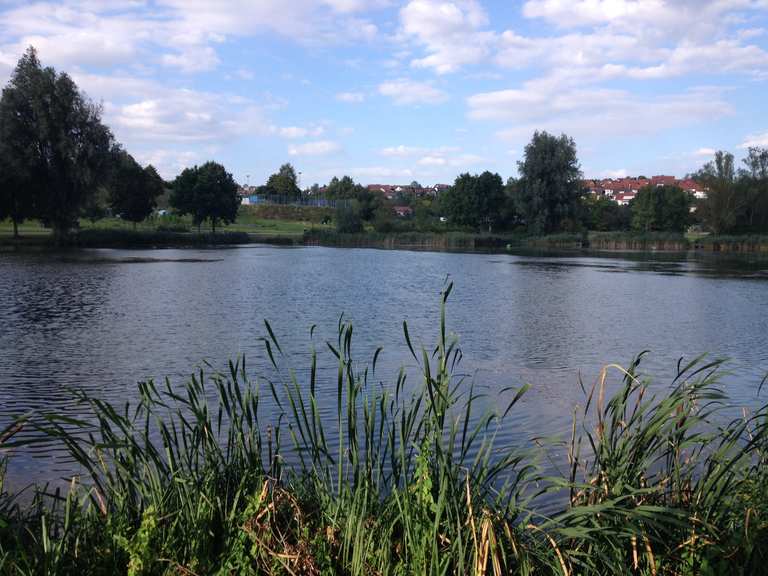 Freizeitgelände Tälesee MountainbikeTouren und Trails komoot