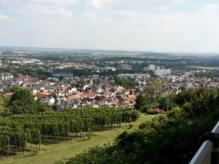Panoramablick vom Johannisberg Wanderungen und Rundwege komoot