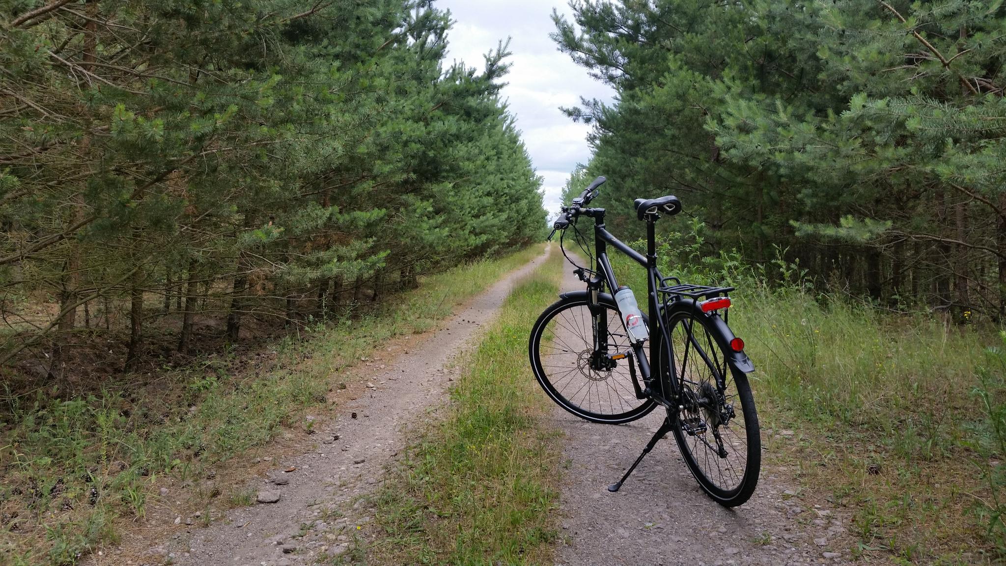 0?width=320&height=180&crop=true&q=70 Radverleih D&uuml;bener Heide &ndash; Neuh&auml;useer See, Petersroda