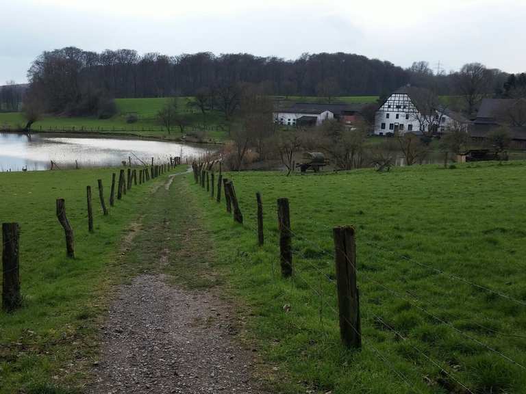 Rotthäuser Bachtal - wandelroutes en hikes | Komoot