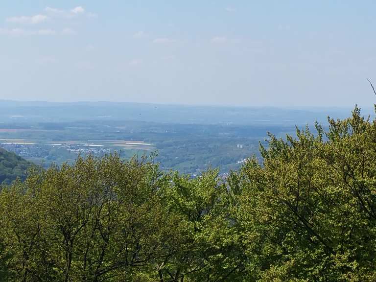 Großer Ölberg Wanderungen und Rundwege komoot