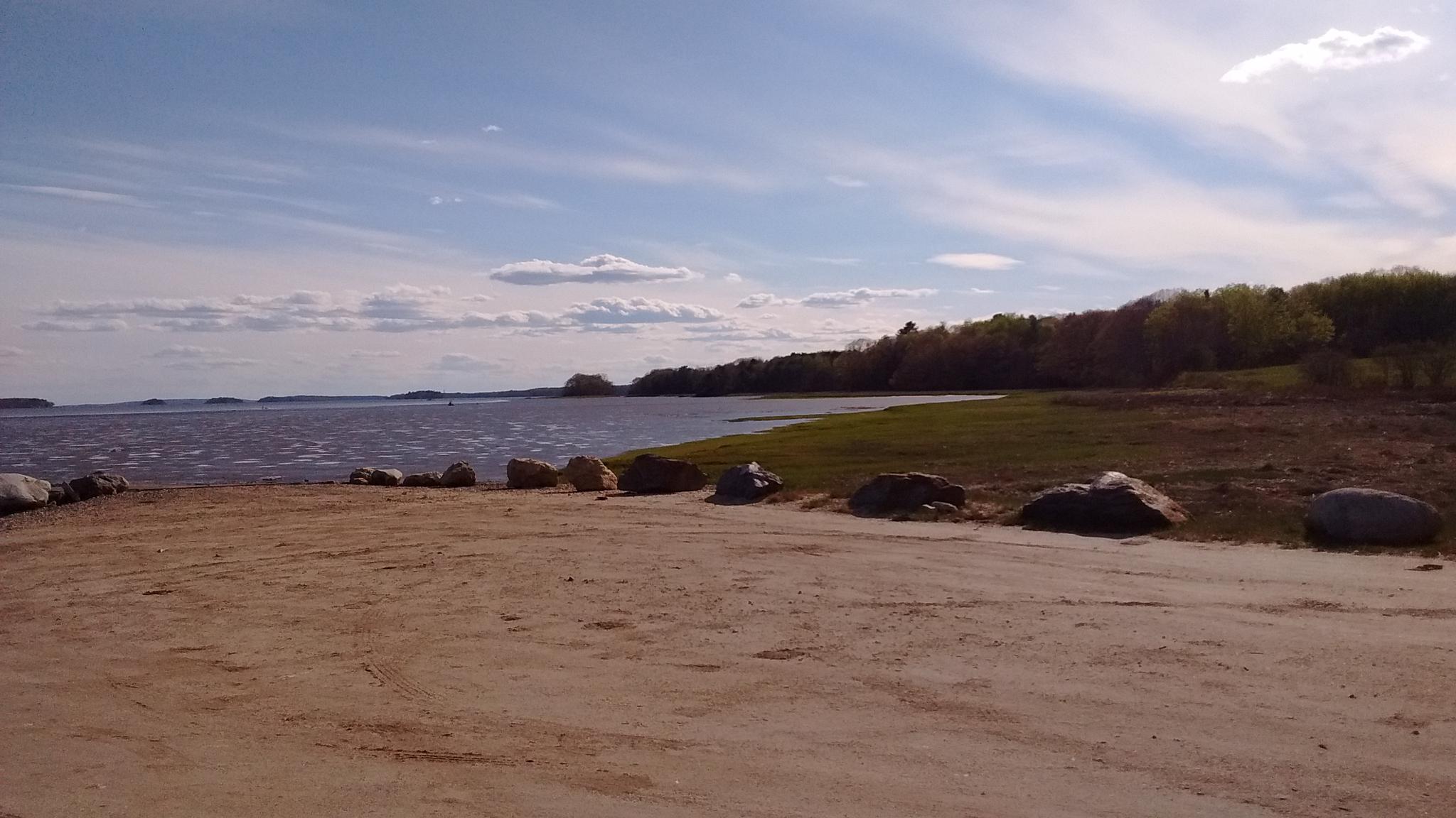 Sandy foreground, calm water, and distant treeline under a bright, cloudy sky.