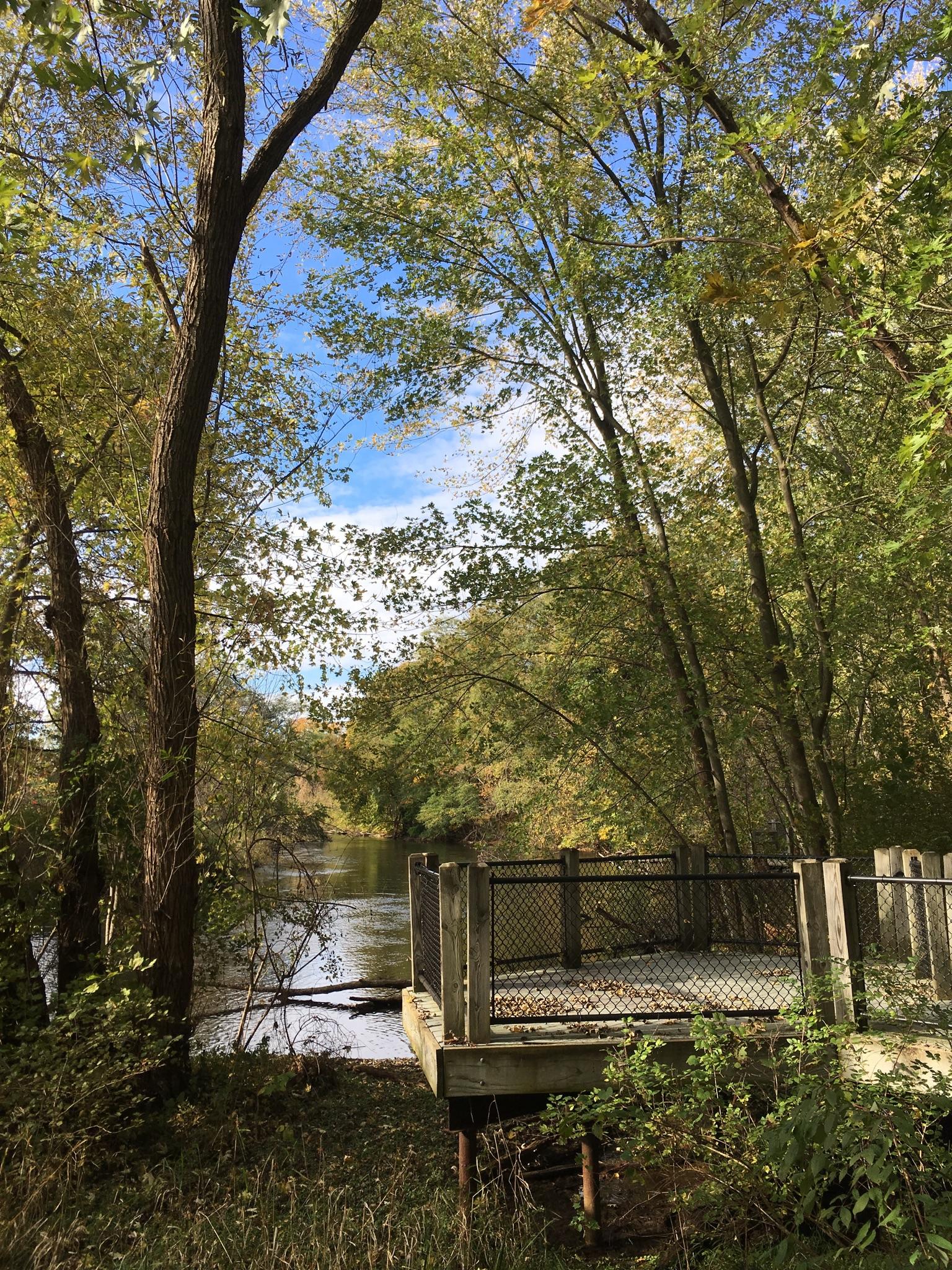 A wooden viewing deck overlooks a river surrounded by lush trees on a bright day.
