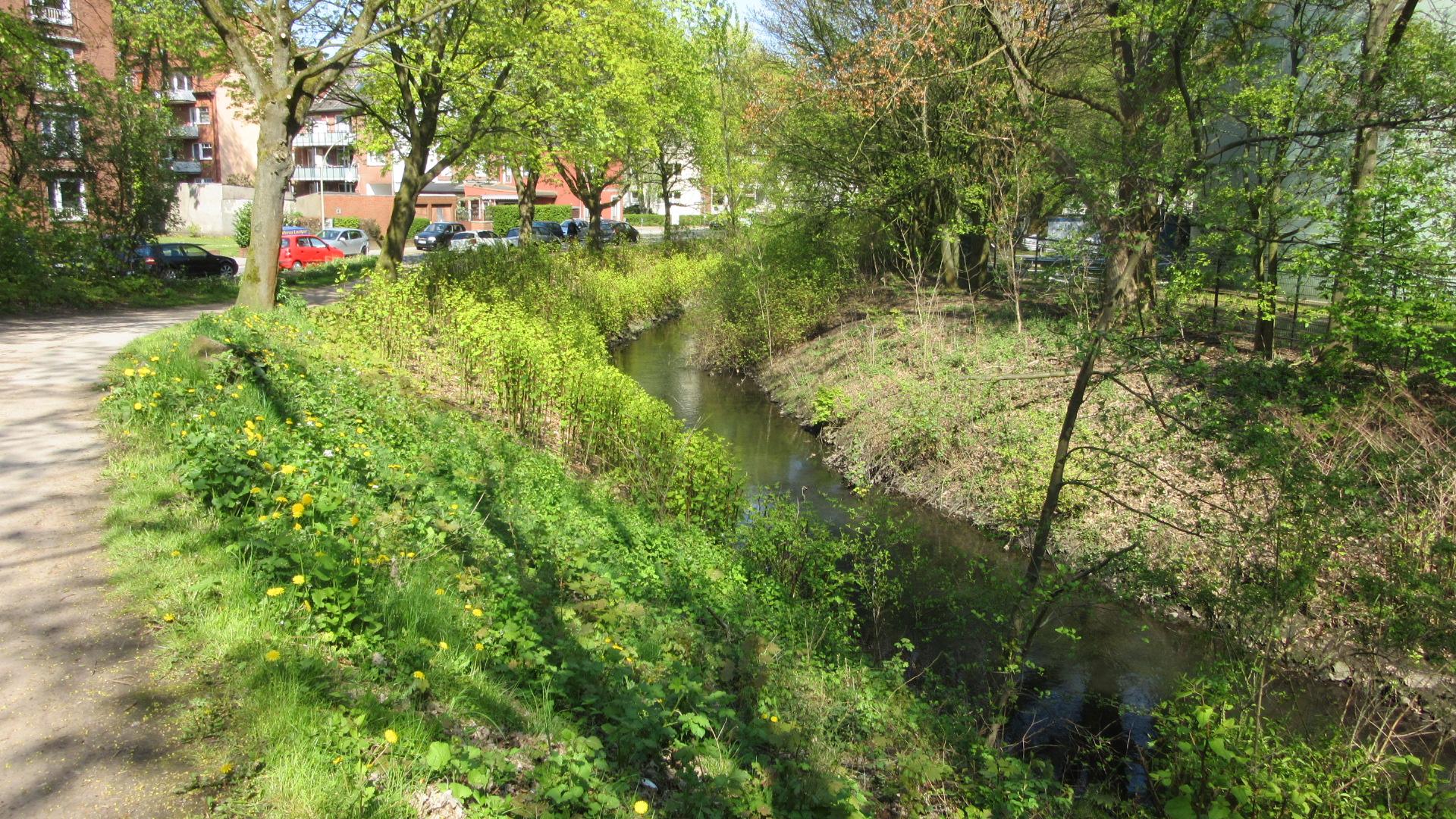 wandse radweg