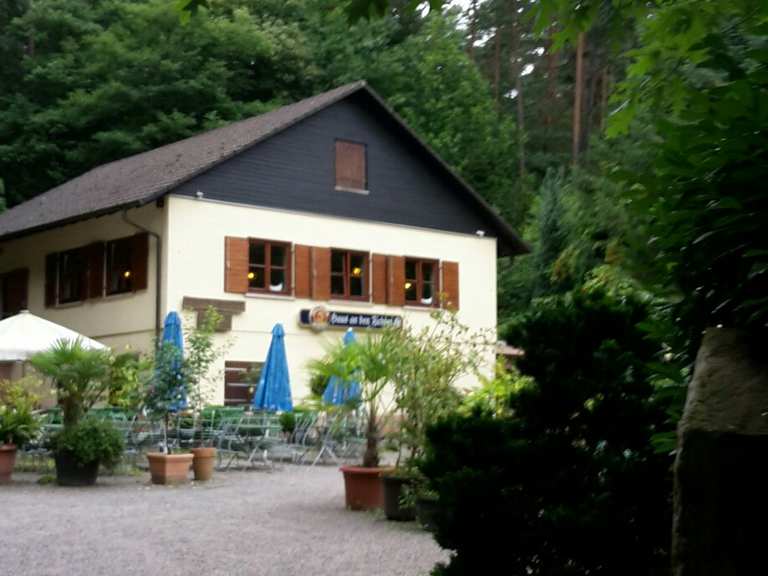 Schoner Blick Auf St Martin See An Den Fichten Runde Von