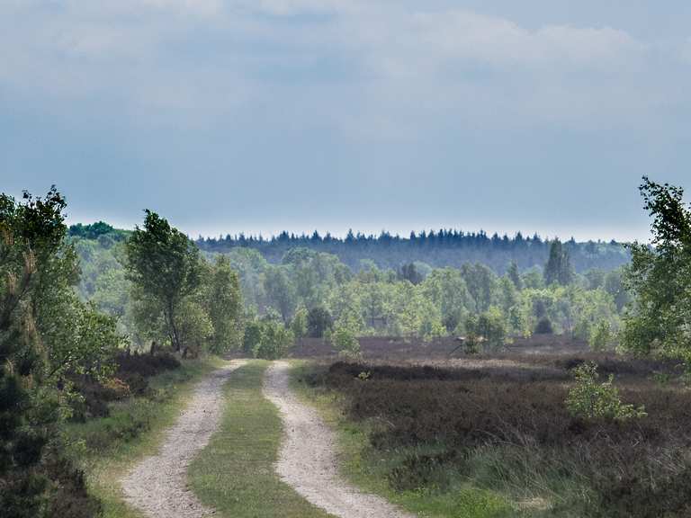 darf man in der lueneburger heide fahrrad fahren