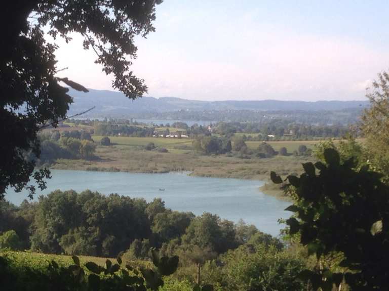 Blick auf den Mindelsee: Wanderungen und Rundwege | komoot