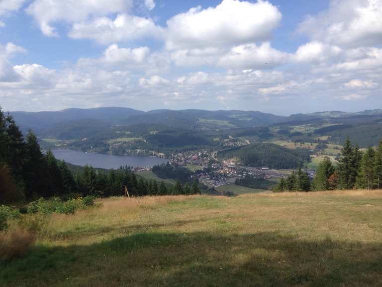 Hochfirstturm und Rasthaus Hochfirst Wanderungen und Rundwege komoot