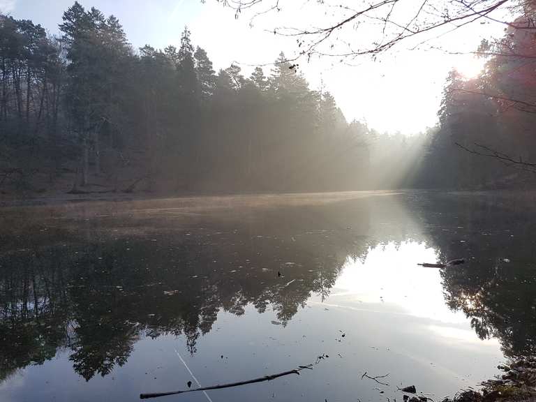 Donoper Teich Routes for Walking and Hiking Komoot