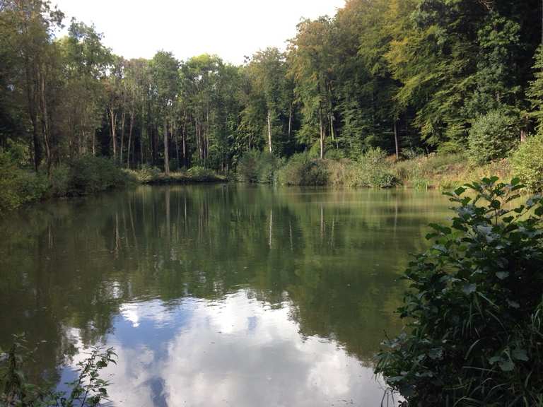 Stille am Weiher - Ober-Ramstadt, Darmstadt-Dieburg ...