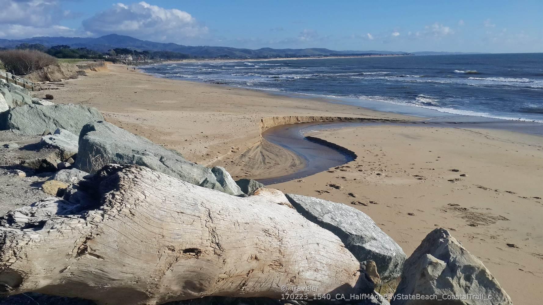 Large driftwood on a sandy beach with ocean waves and a stream.