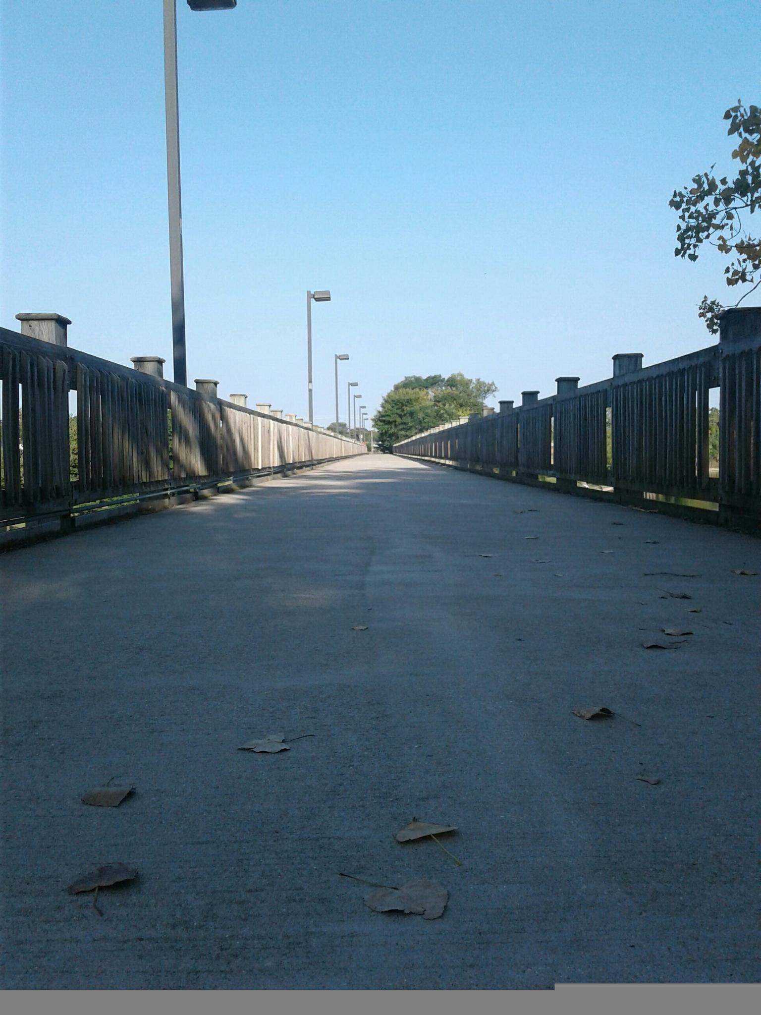 Long concrete path with railings and streetlights under a clear blue sky.