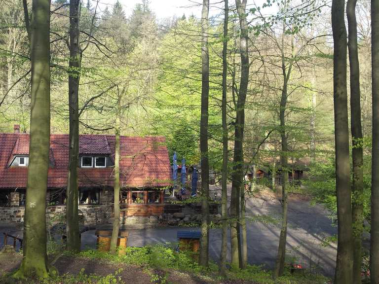 Mooshütte: Wanderungen und Rundwege | komoot