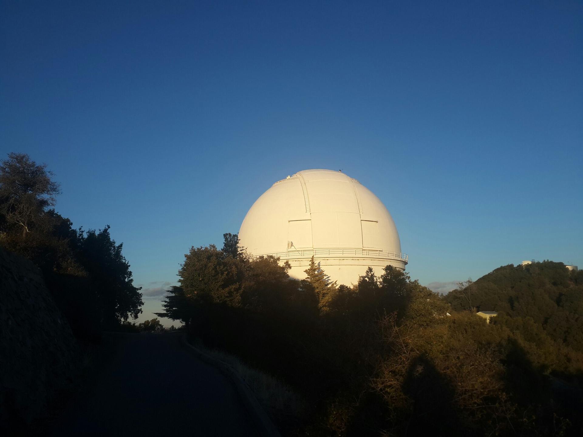 Large white observatory dome partially hidden by trees at sunset.