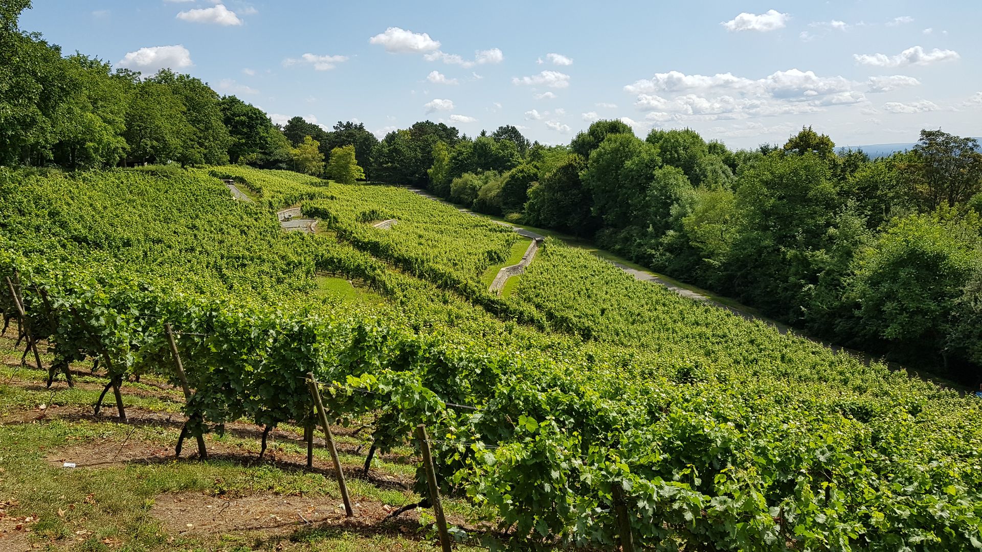 der-gr-ng-rtel-rundwanderweg-frankfurt-am-main-wander-collection-von