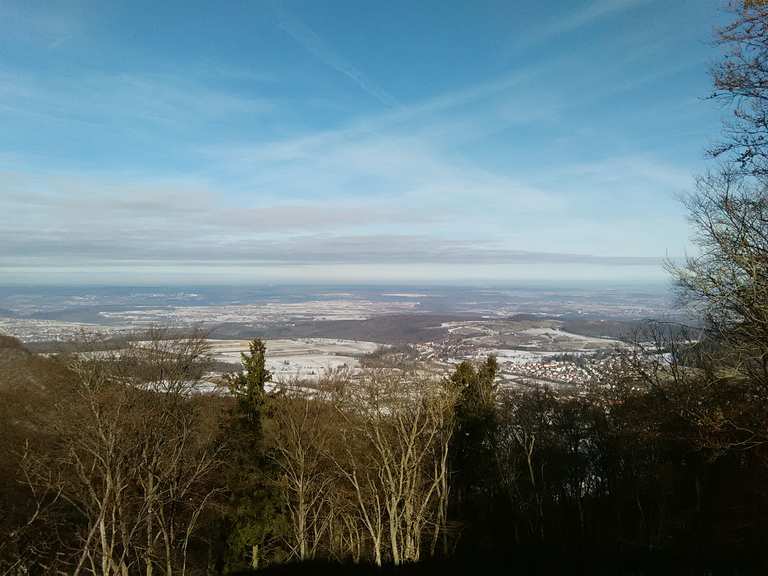 Roßberg mit Aussichtsturm Wanderungen und Rundwege komoot