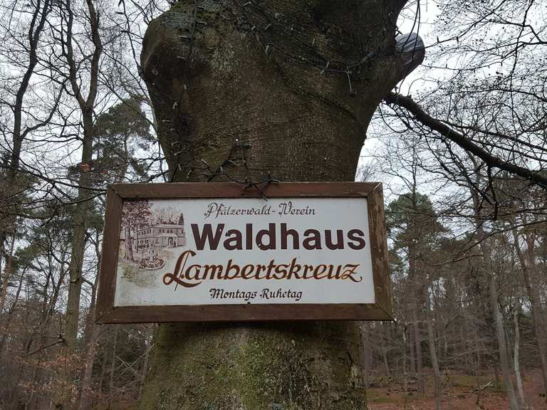 Lambertskreuz MountainbikeTouren und Trails komoot