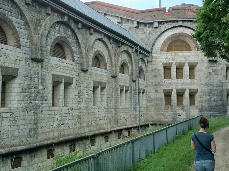 Wilhelmsburg Wanderungen und Rundwege komoot