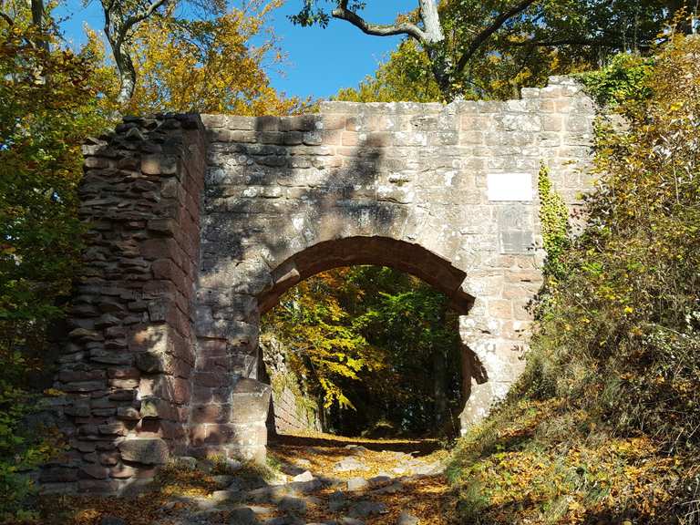Burgruine Guttenberg Wanderungen und Rundwege komoot