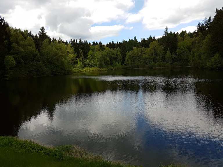 BergratMüllerTeich (HWN 190) Wanderungen und Rundwege komoot