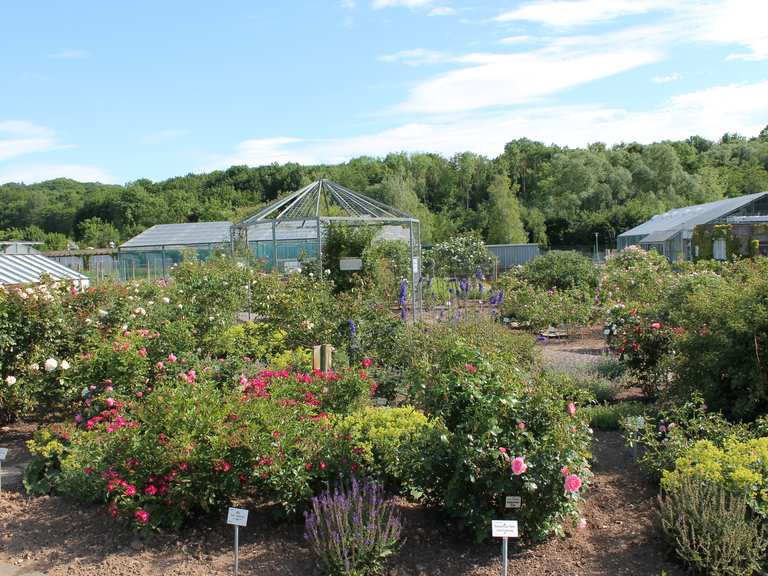 Neuer Botanischer Garten Experimenteller Botanischer Garten In