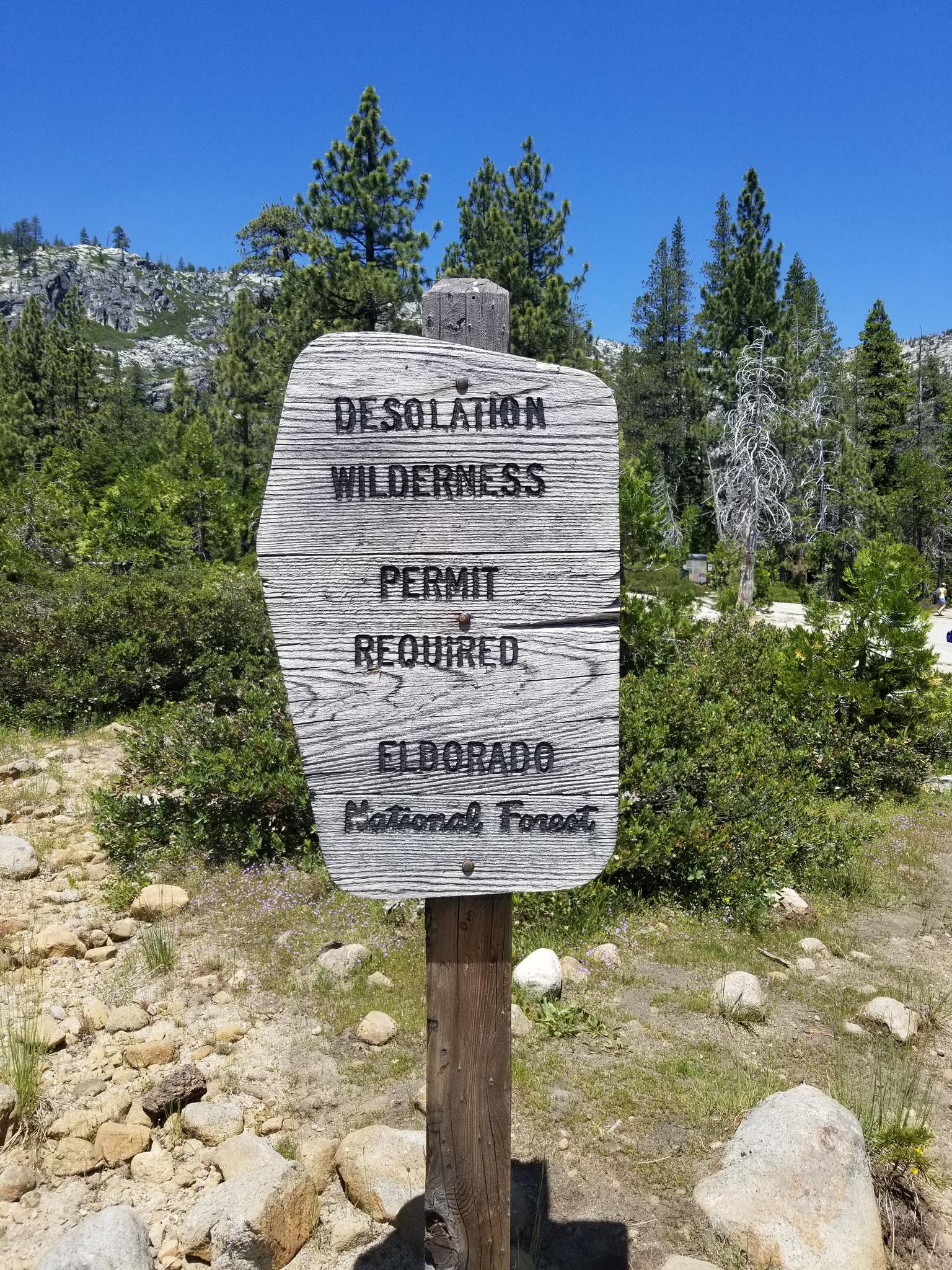 A weathered wooden sign stands in a sunny forest clearing.