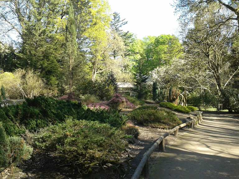 Forstbotanischer Garten NordrheinWestfalen, Deutschland