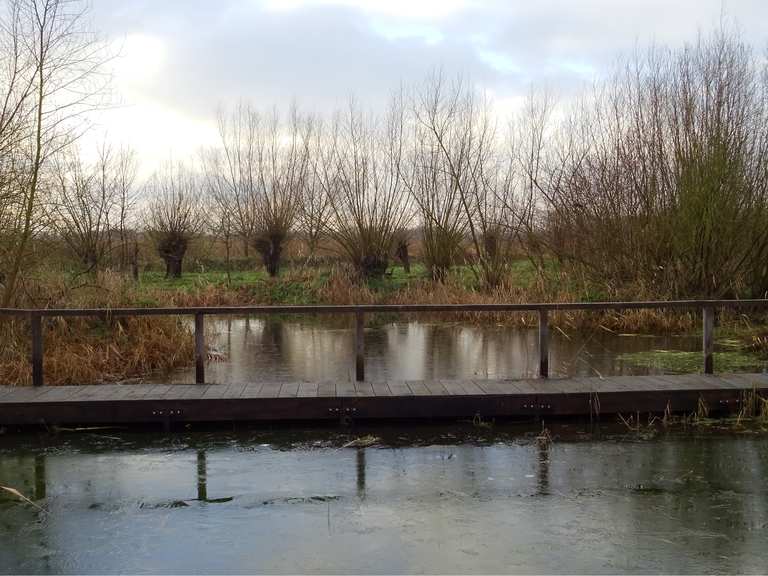 Rieselfelder Münster Wanderungen und Rundwege komoot