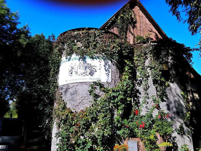 Schloß Salem Störche am Affenberg Runde von Deisendorf