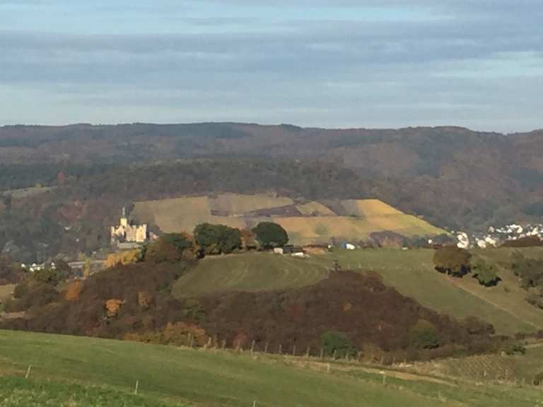 Mitten am Rhein Aussichtspunkt – Blick auf Burg Rheineck Runde von Bad ...