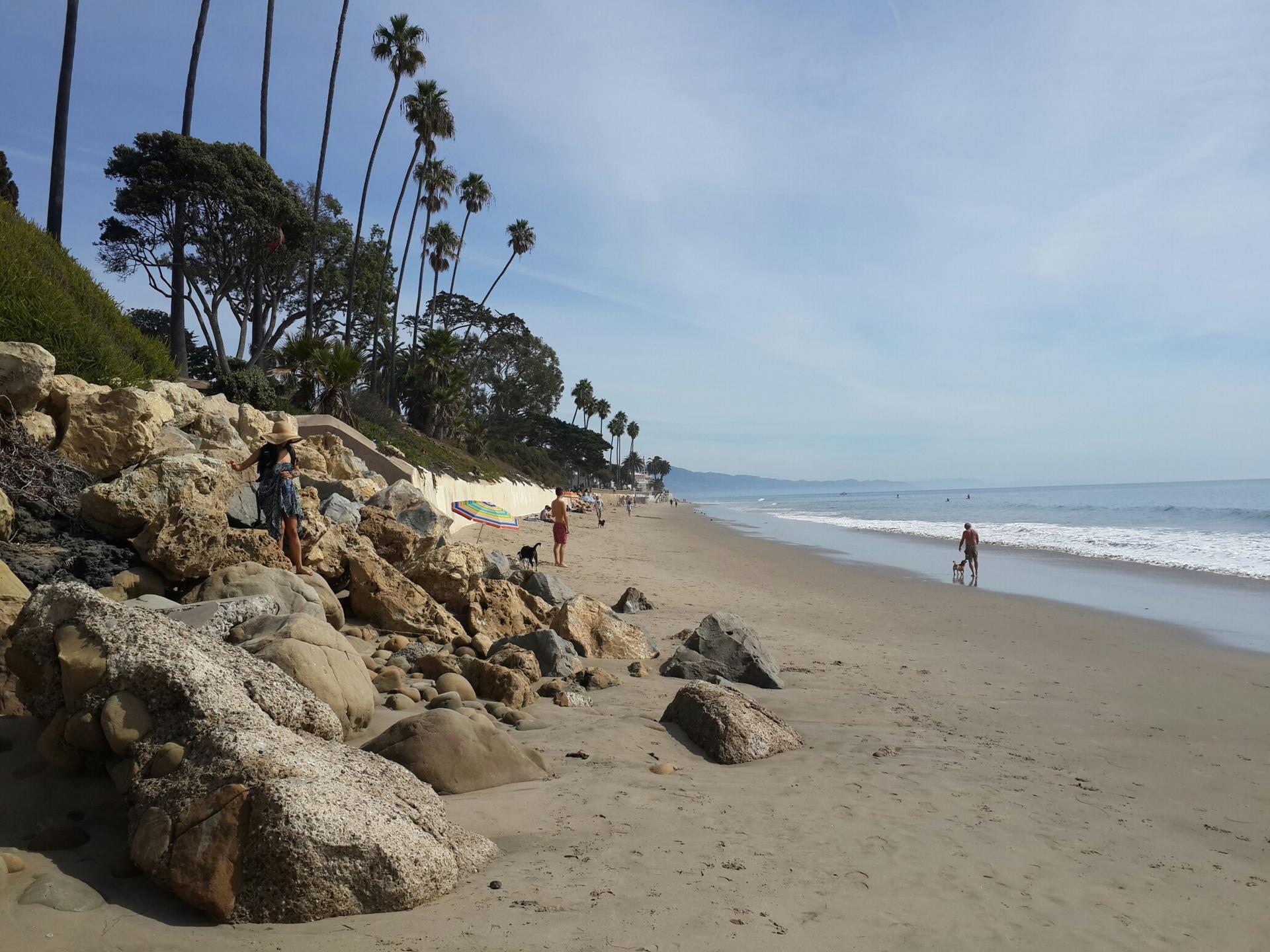Sunny beach with people, rocks, and tall palm trees under a blue sky.