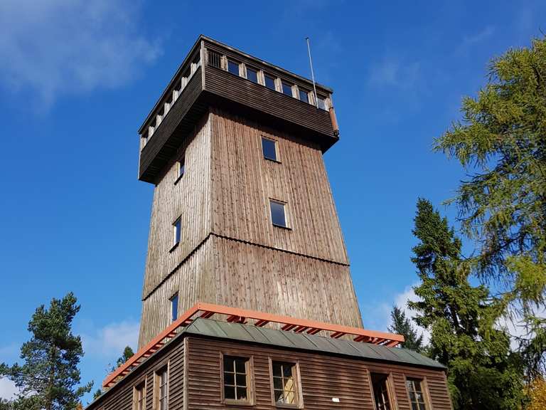 Kapellenberg Turm MountainbikeTouren und Trails komoot