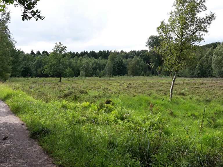 Ohligser Heide - Bergisches Land, Regierungsbezirk Köln ...