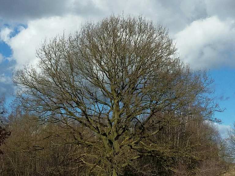 Naturschutzgebiet Höltigbaum Hamburg, Deutschland Wandertipps