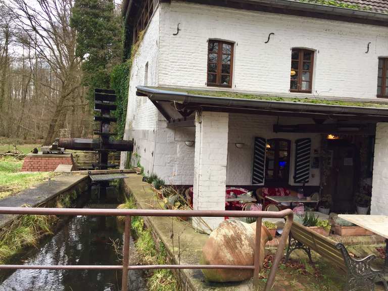 Molzmühle Wanderungen und Rundwege komoot