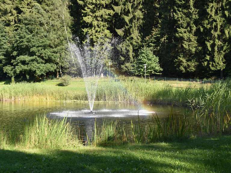 Kurpark Friedrichsbrunn: Wanderungen und Rundwege | komoot