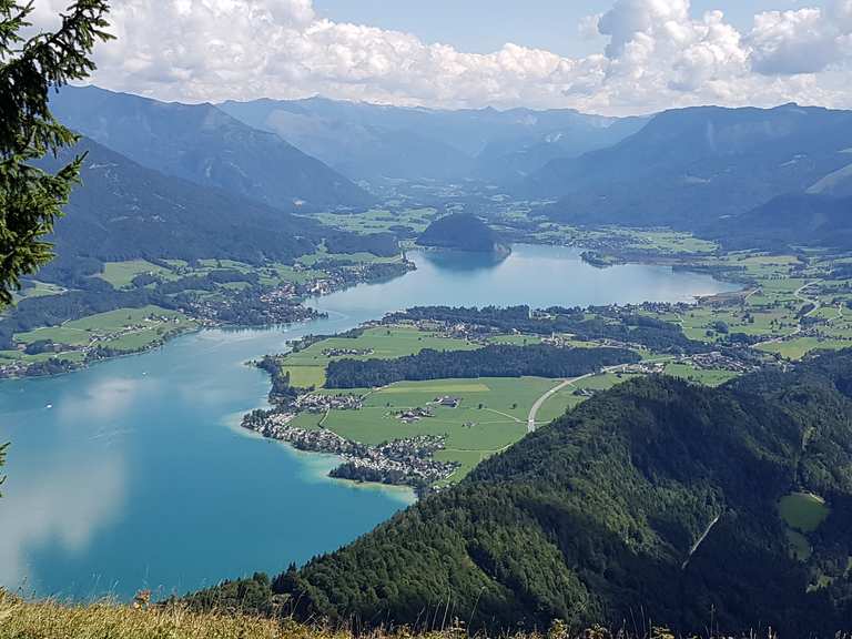 Seeblick – Zwölferhorn Runde von Sankt Gilgen | Wanderung | Komoot