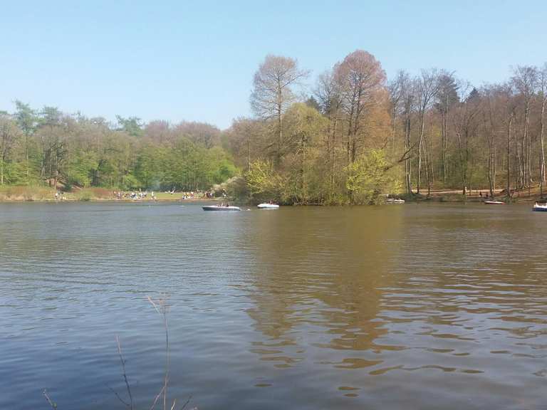 Freizeitpark Oberwaldhaus am Steinbrücker Teich Wanderungen und