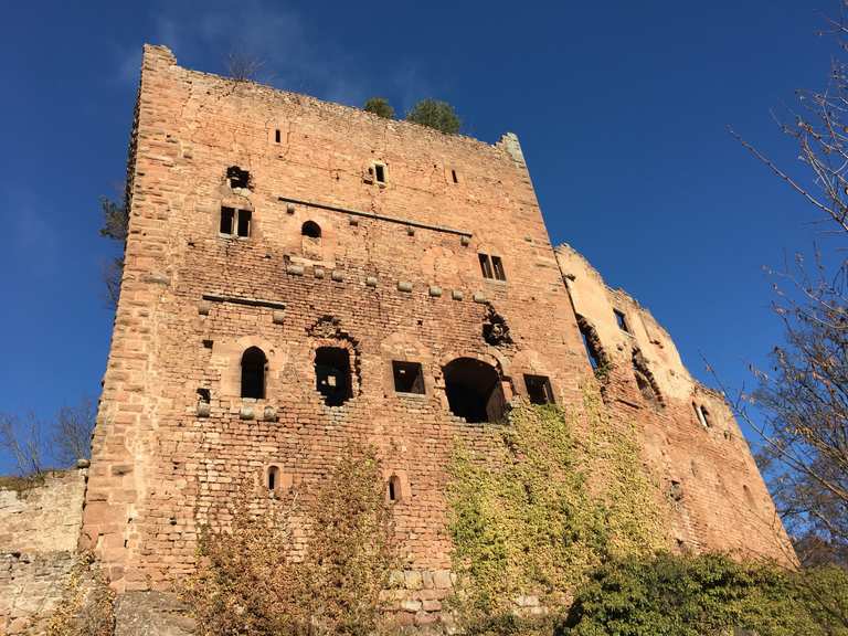 Château d'Ottrott Wanderungen und Rundwege komoot