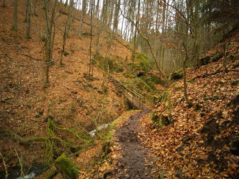 Firnsbachtal am Habichtswaldsteig Routes for Walking and Hiking | Komoot