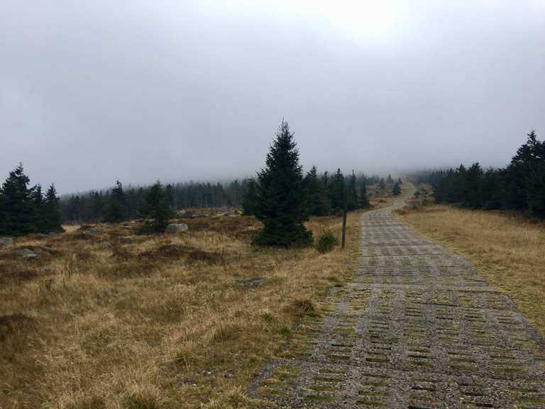 Alte Panzerstraße MountainbikeTouren komoot