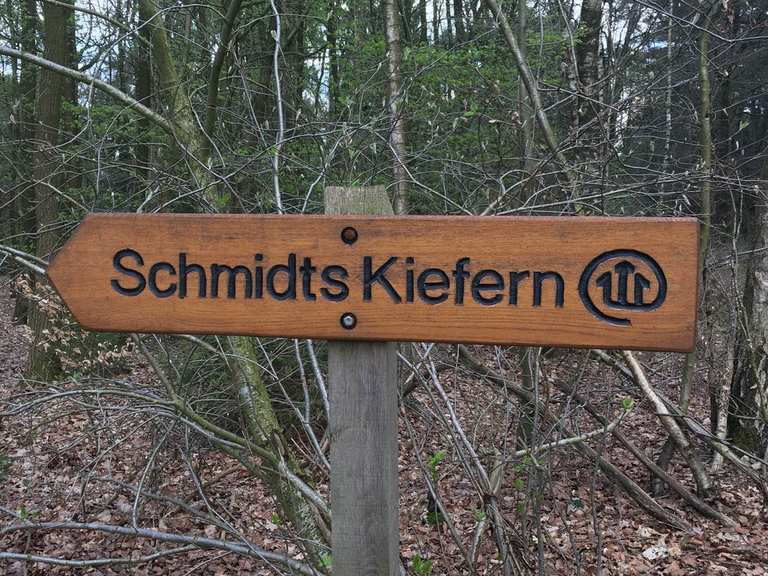 Blick auf die Heidhofer Teiche Friedland Schmidts Kiefern Loop from
