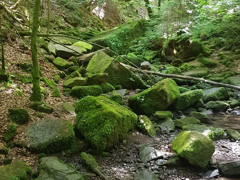 Im Monbachtal Wanderungen und Rundwege komoot