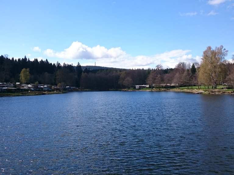 Bremer Teich (HWN 196) Wanderungen und Rundwege komoot