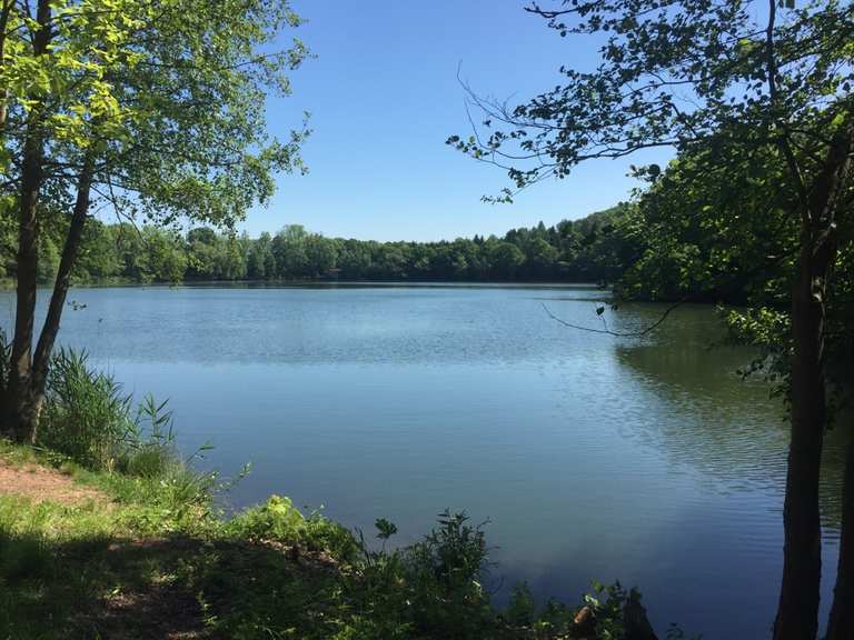 Vatteröder Teich MountainbikeTouren und Trails komoot