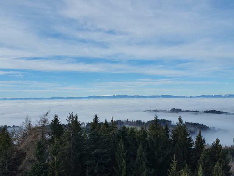 Bantiger Wanderungen und Rundwege komoot