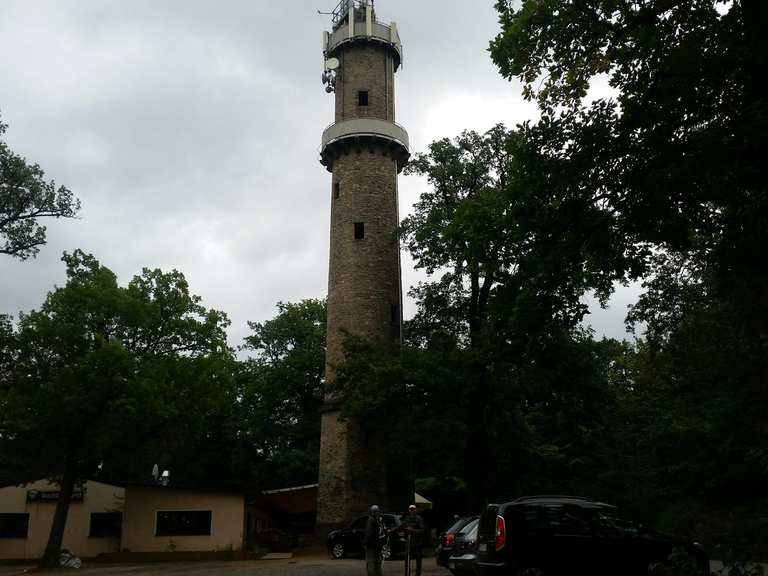 Buchberggrill Routes for Walking and Hiking | Komoot