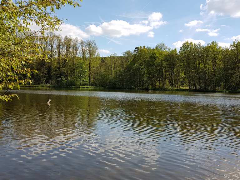 Pfaffensee Regierungsbezirk Stuttgart, BadenWürttemberg